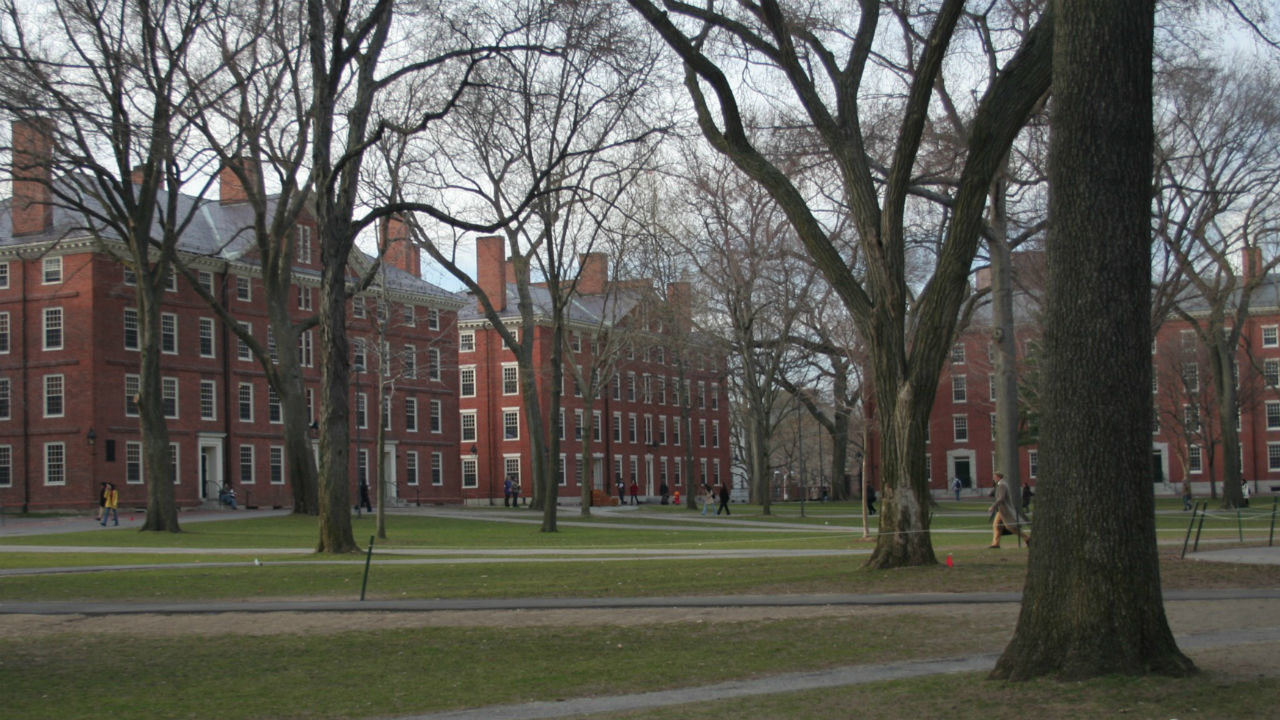 Click to enlarge Harvard Yard