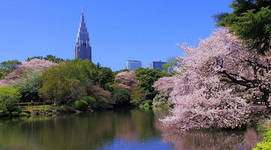 Shinjuku Gyoen National Garden Tokyo