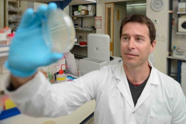 viruses communicate with each other