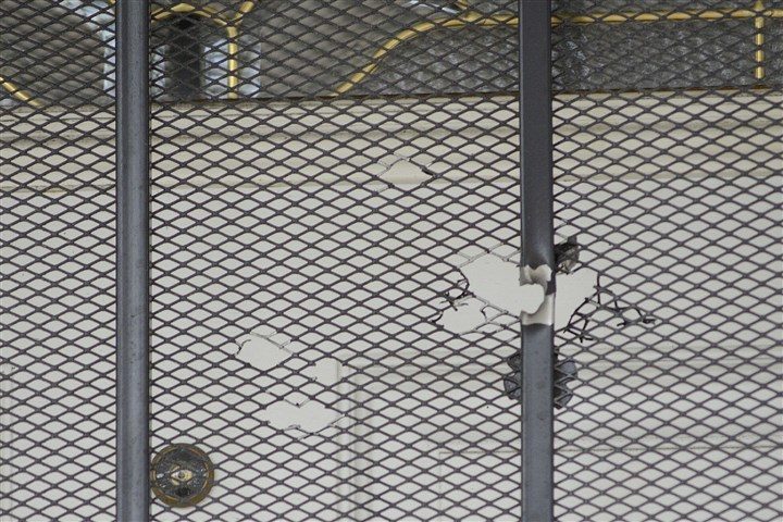 Holes dot the screen of the front door at 129 Finley Street in Larimer