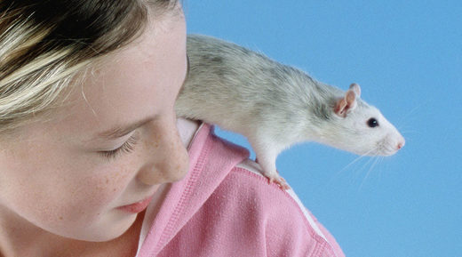 Girl with pet rat