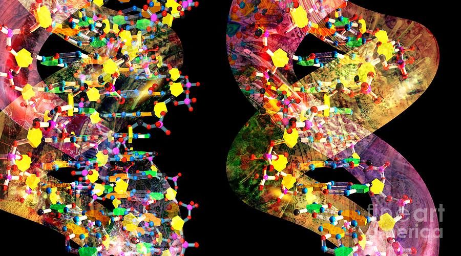 DNA gene genetics