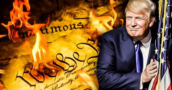 trump constitution