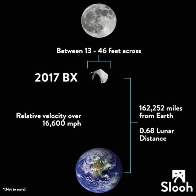 Click to enlarge asteroid 2017 BX