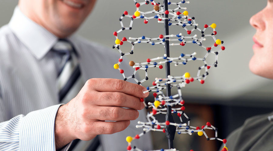 DNA model