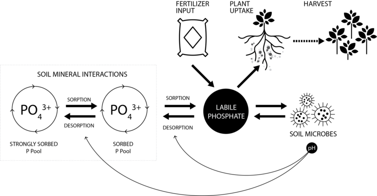 Click to enlarge Mammoth P, a microbial product