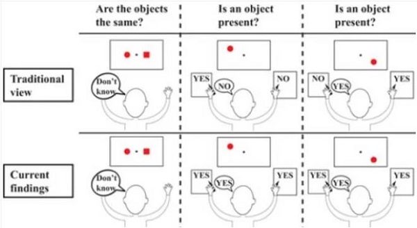 twin consciousness study