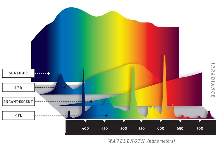 Click to enlarge Blue light