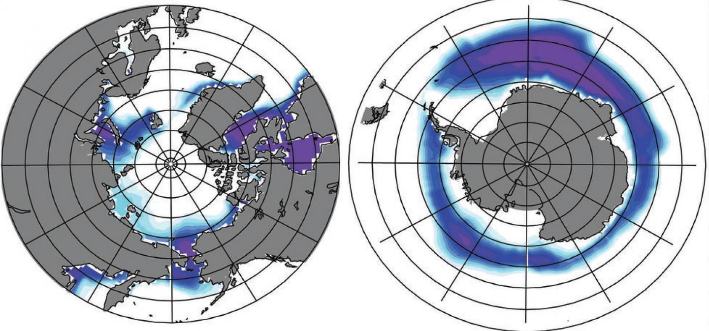 Ice Ages