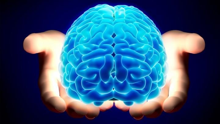 Click to enlarge child's brain