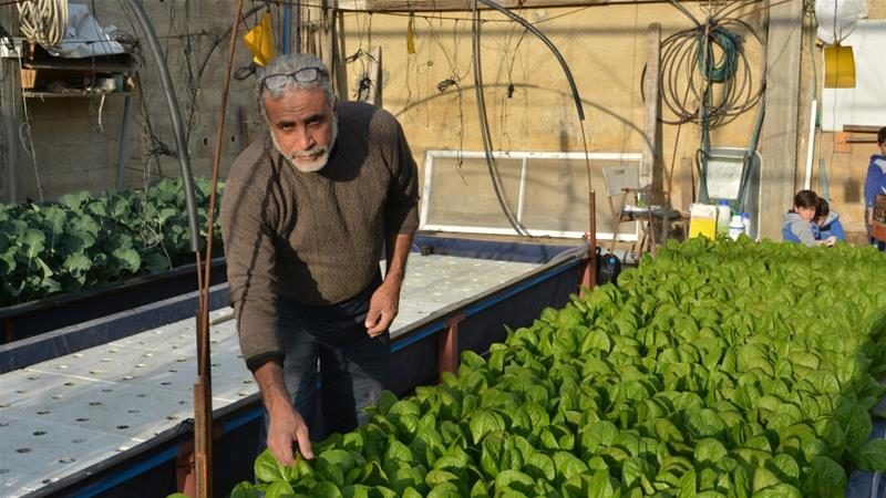 farming