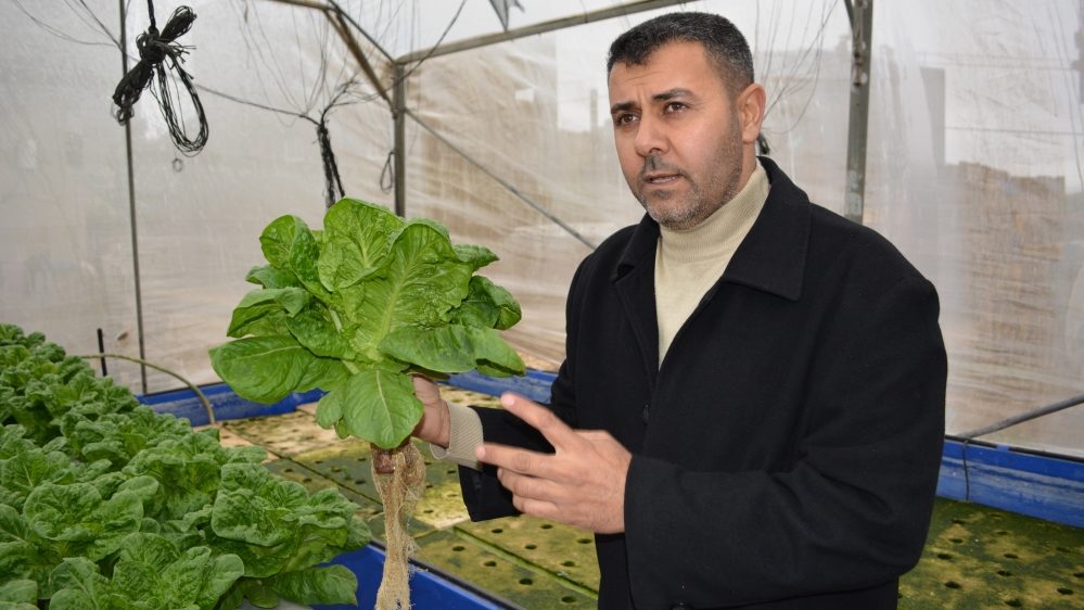 Click to enlarge hydroponic farm