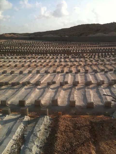 Libya Sirte mass graves