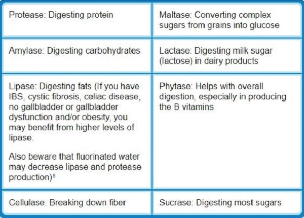Click to enlarge enzymes