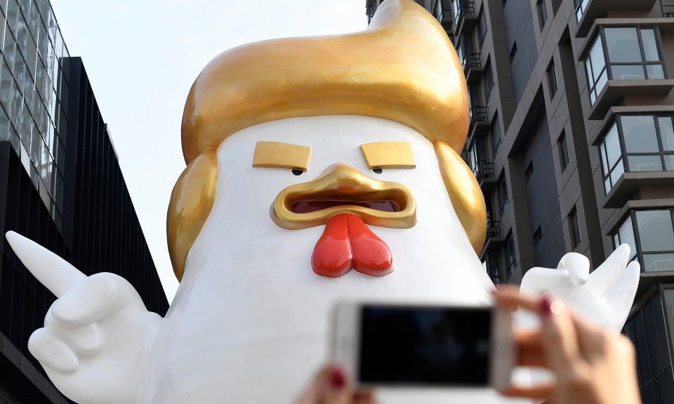 Click to enlarge giant chicken sculpture made to resemble Donald Trump