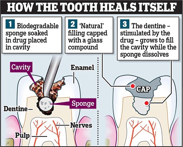 healing tooth