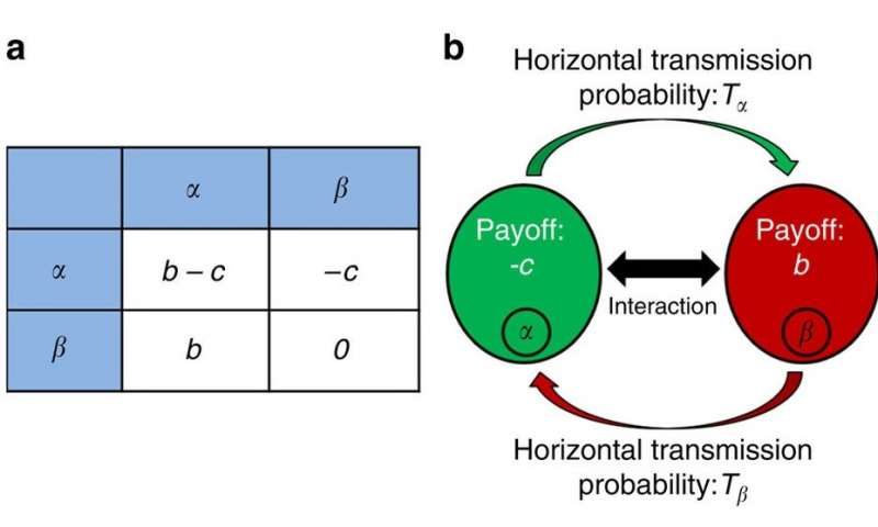 microbe transmission altruism
