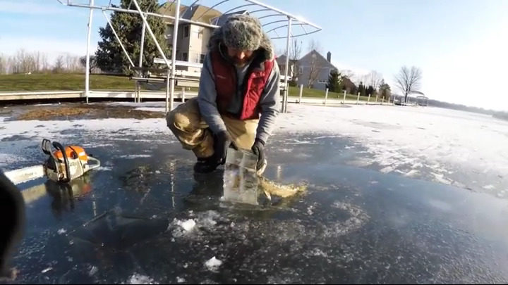 Click to enlarge frozen fish