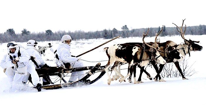 Russian troops reindeer