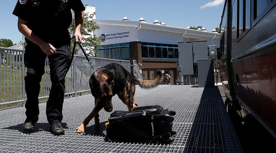Click to enlarge Bomb sniffing dog