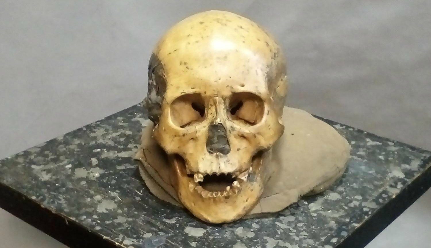 Skull of Ancient Woman