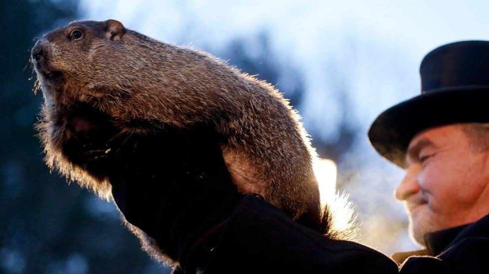 Click to enlarge groundhog, Punxsutawney Phil