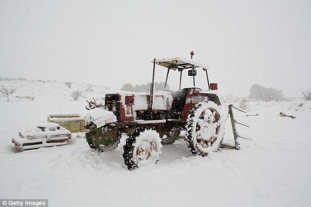 Spain supplies more than 50 per cent of Europe's vegetables during the winter. Pictured: Snow covers a tractor near Caravaca de la Cruz in Murcia, Spain