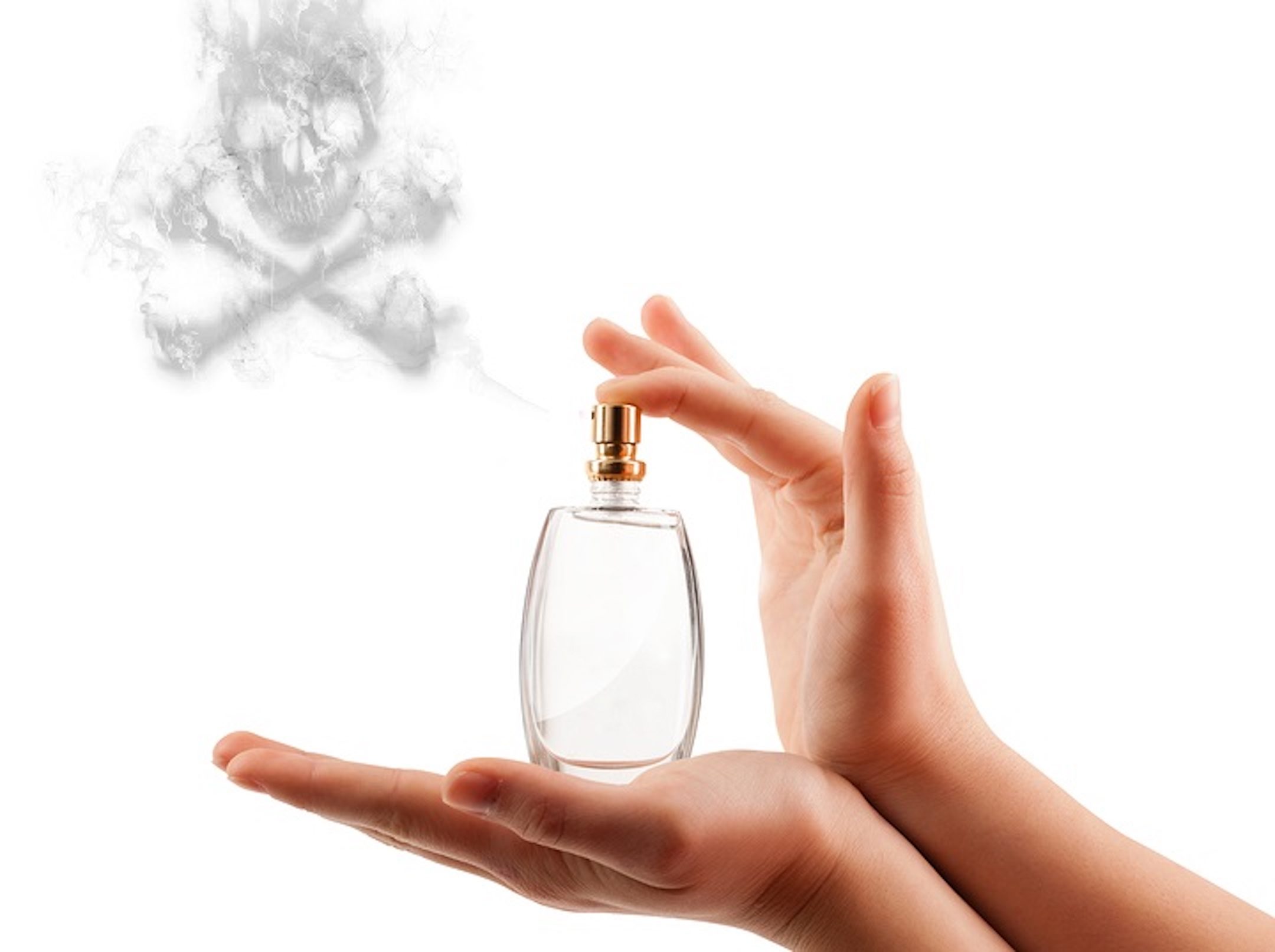 Click to enlarge fragrance