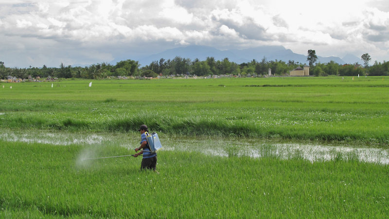 Click to enlarge insecticides