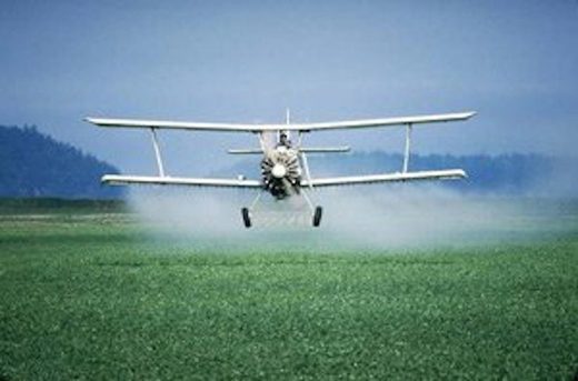 Click to enlarge pesticides