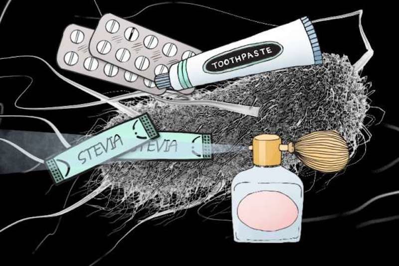 Click to enlarge microbes
