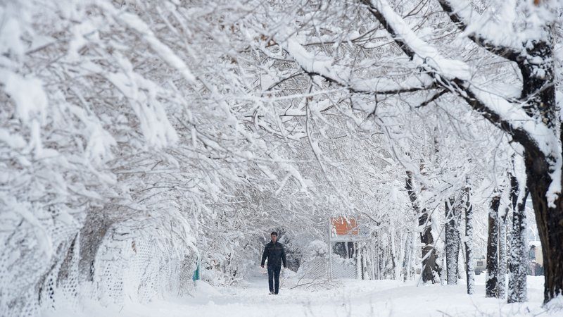 Unprecedented snow claims over 40 lives in Afghanistan, Pakistan also affected February 2017