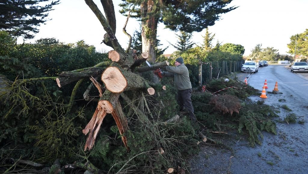 250,000 homes without power after storm battered SW France
