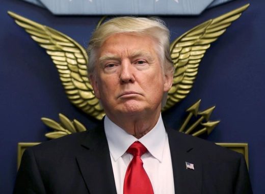 trump wings