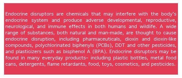 endocrine disruptors