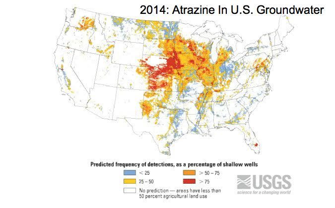 atrazine