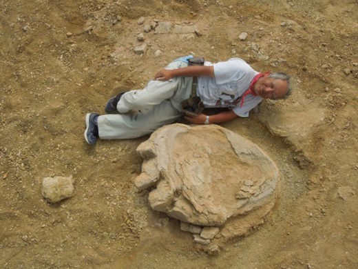 dinosaur footprint with human footprint