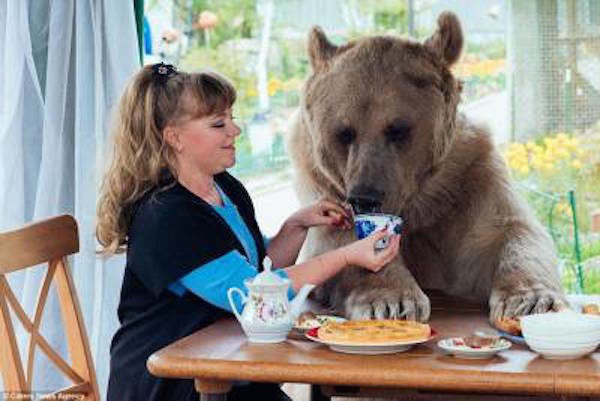 Russian bears outlawed