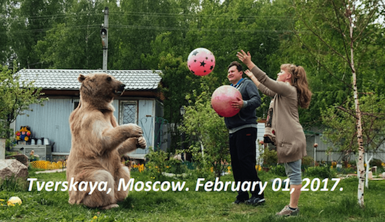 Click to enlarge russian pet bear