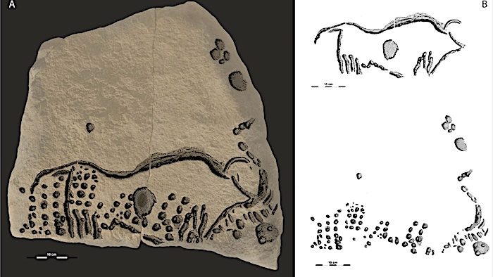 aurochs