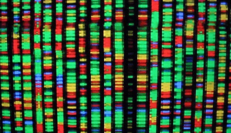 DNA databases