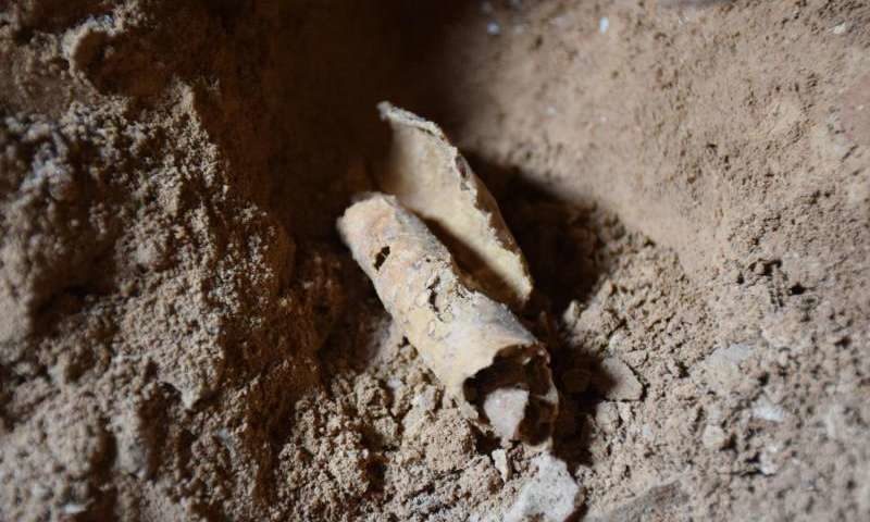 Click to enlarge Dead sea scroll