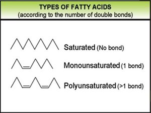 fatty acid bonds