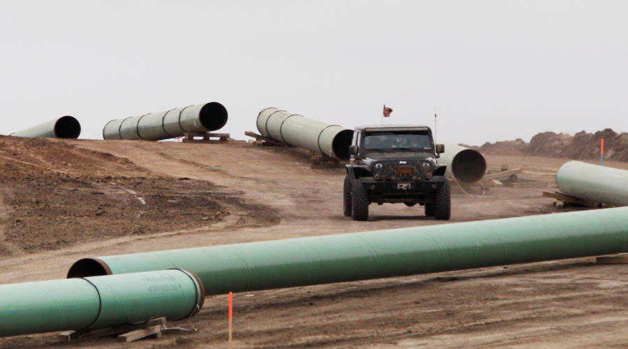 dapl