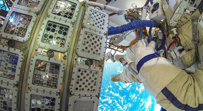 Click to enlarge different organisms outside the ISS