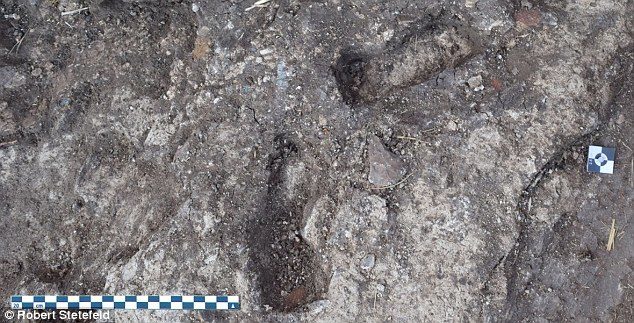 3000 year old footprints egypt