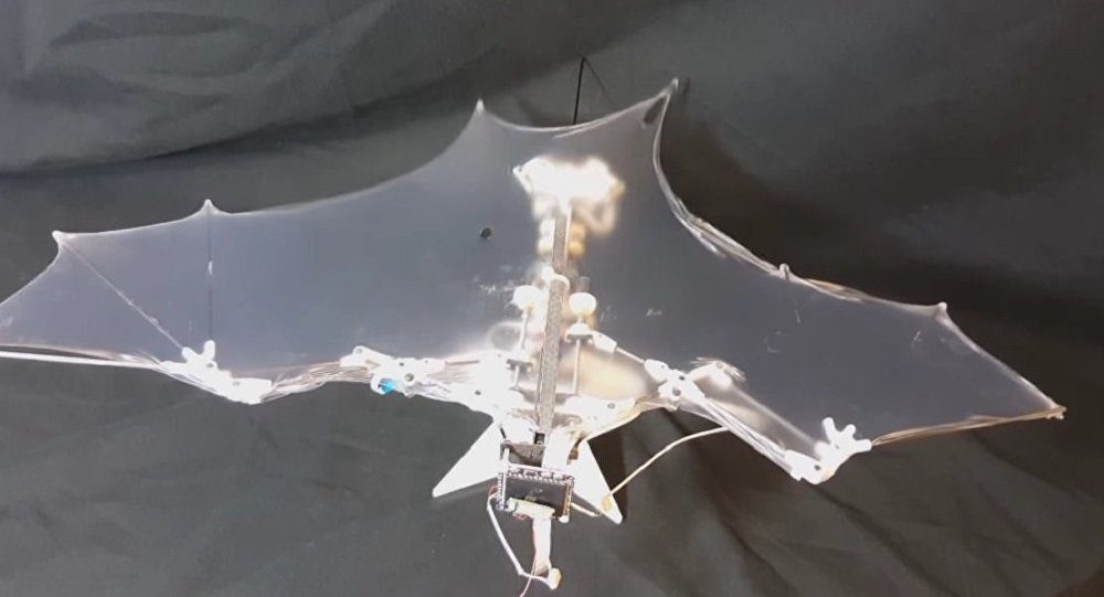 Flying bat robot