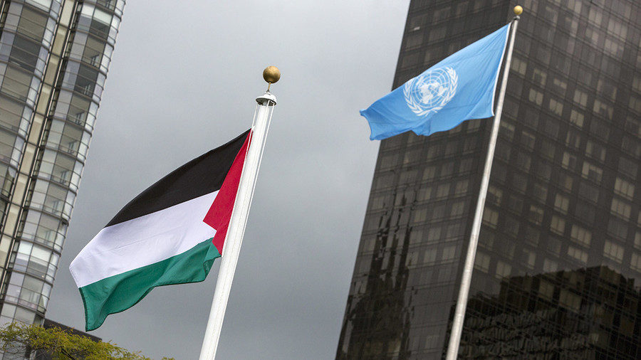 Click to enlarge The Palestinian and the UN flag
