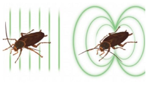 Magnetic Cockroaches
