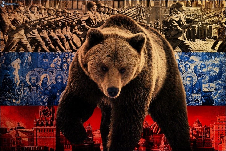 Click to enlarge Russian bear Russia Moscow